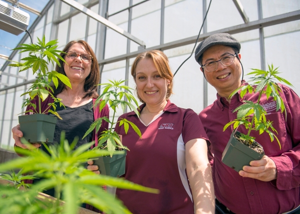 Agricultural Hemp at SIU