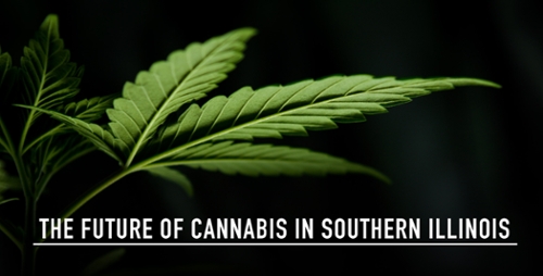 The Future of Cannabis in Southern Illinois