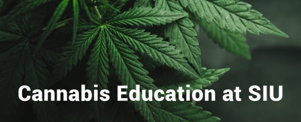 Cannabis Education 