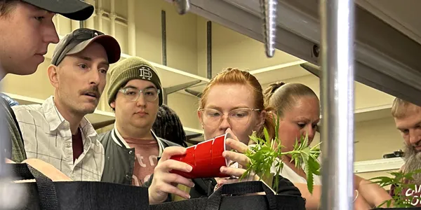 Cannabis Students