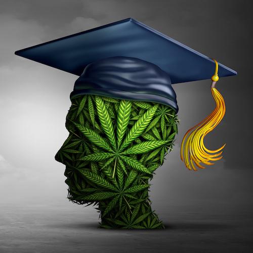 canna graduation hat